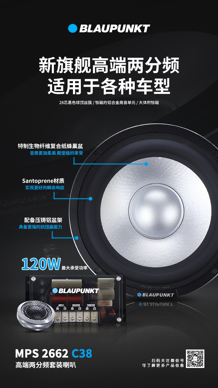 德國(guó)（藍(lán)寶BLAUPUNKT）MPS 2662 C38 新旗艦高端兩分頻